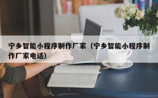 东阳宁乡智能小程序制作厂家（宁乡智能小程序制作厂家电话）